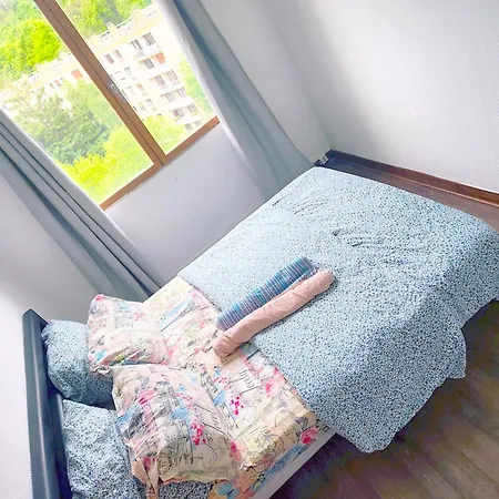 Bed & Breakfast Privee Pres Aeroport Paris Orly